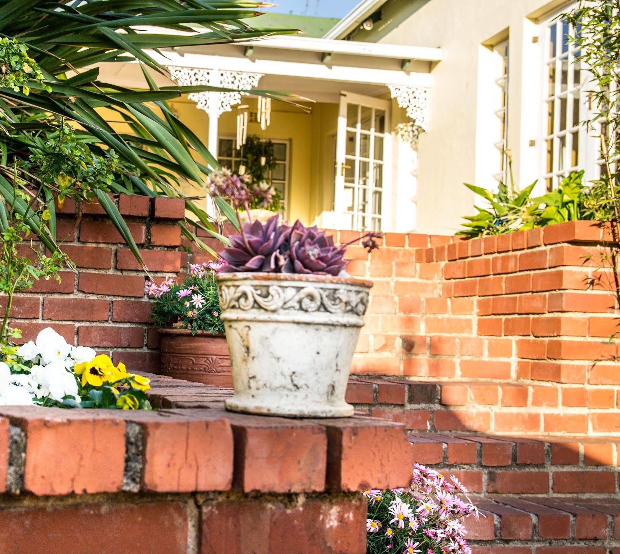 Arum Place Guest House Johannesburg Dış mekan fotoğraf